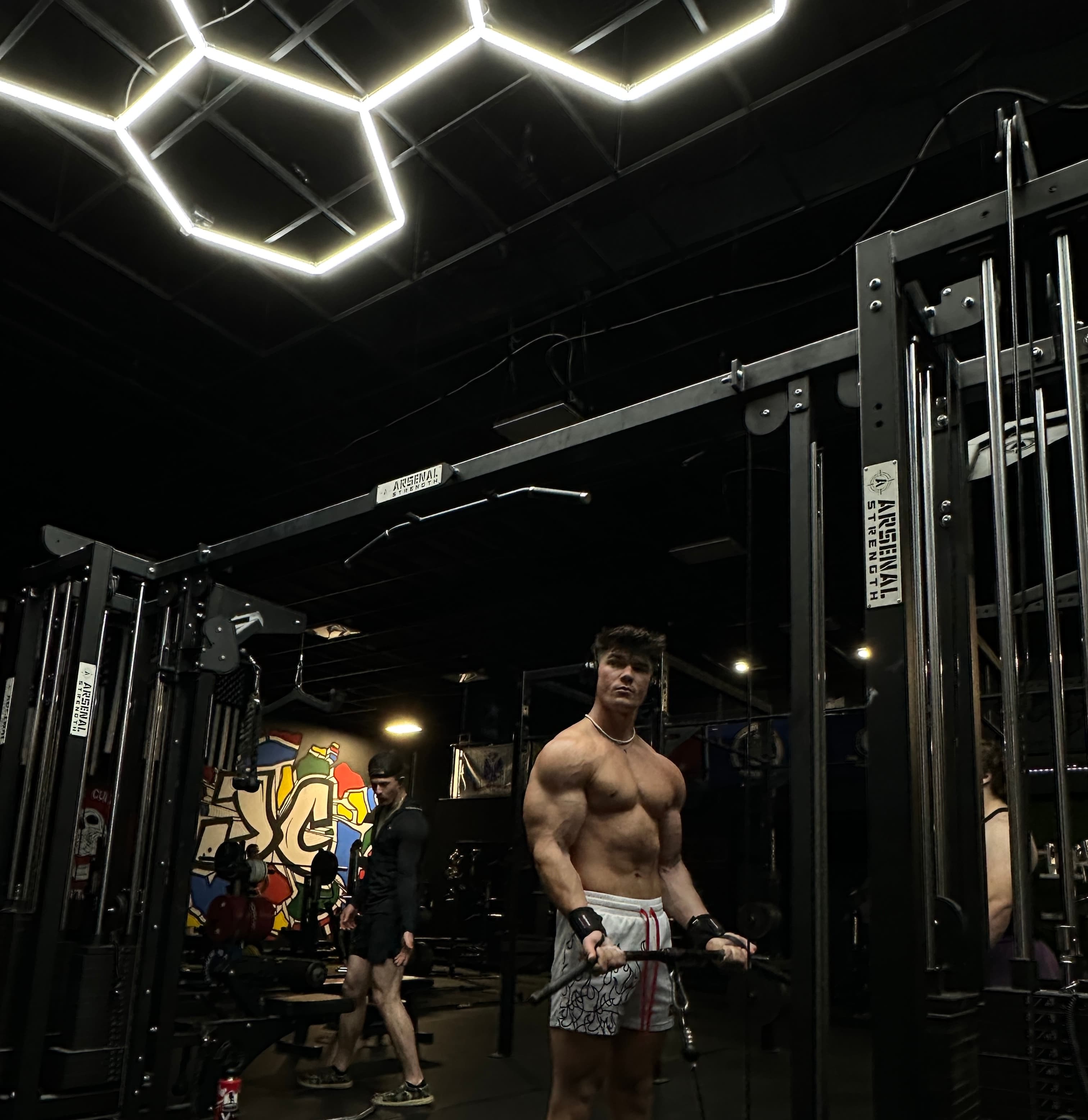 Elite personal fitness coaching and physique transformation